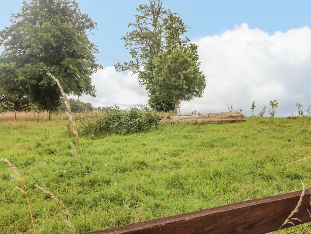 Meadow View Βίλα Nenagh Εξωτερικό φωτογραφία